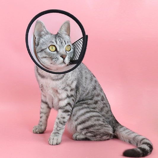 Pet protective headgear collar with black rim and mesh side guard on gray cat