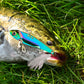 Iridescent blue and purple fishing lure lying on grass with white feather skirt