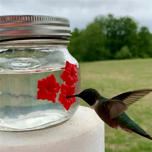 Clear glass hummingbird feeder jar with red flower accents as a bird feeds