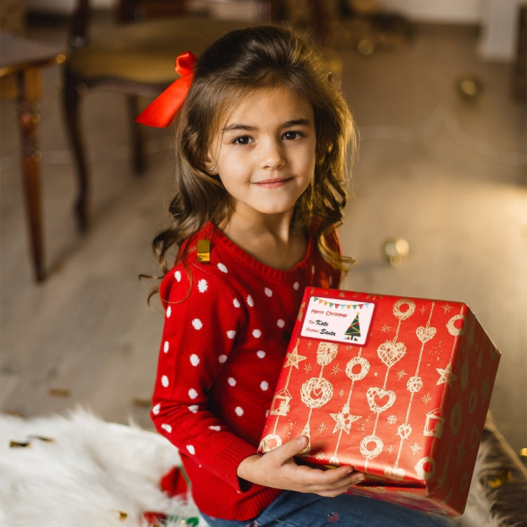 Girl holding a Christmas sticker gift box package with assorted label stickers