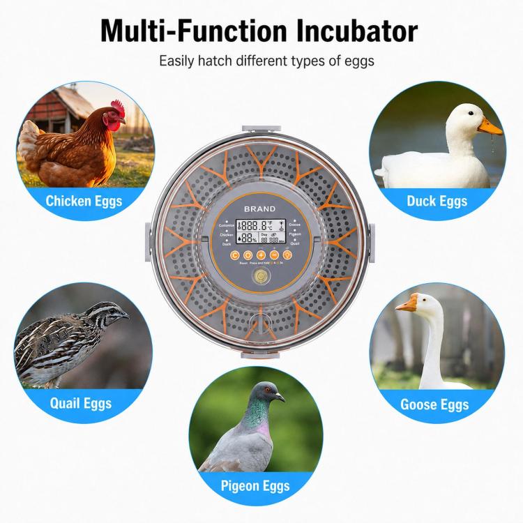 Multi-function egg incubator with orange grid tray and round LCD control on top