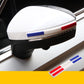 Car door side anti-collision rubber strip, white edge with blue inlay and red accent
