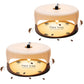 Beige sticky flea dome trap with lamp bulb and clear front window for trapping fleas