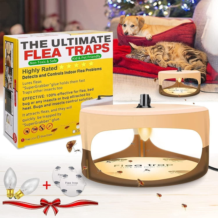 Beige flea trap dome with lamp bulb and scattered insects on a tabletop