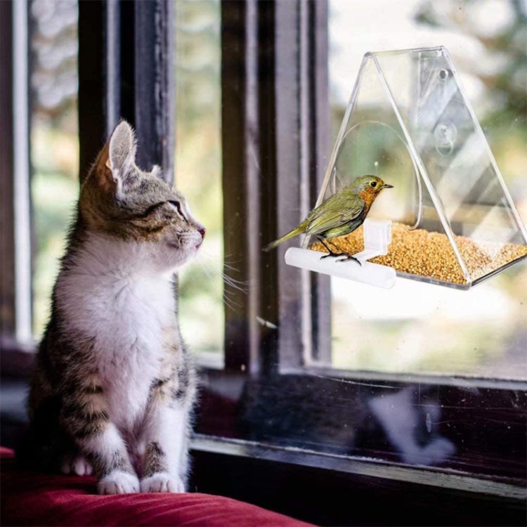 Transparent triangle acrylic bird feeder with seed tray and perch, indoors