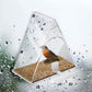 Transparent triangle acrylic bird feeder with seed tray and arched entrance