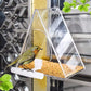 Close-up transparent triangle acrylic bird feeder with bird and seed tray