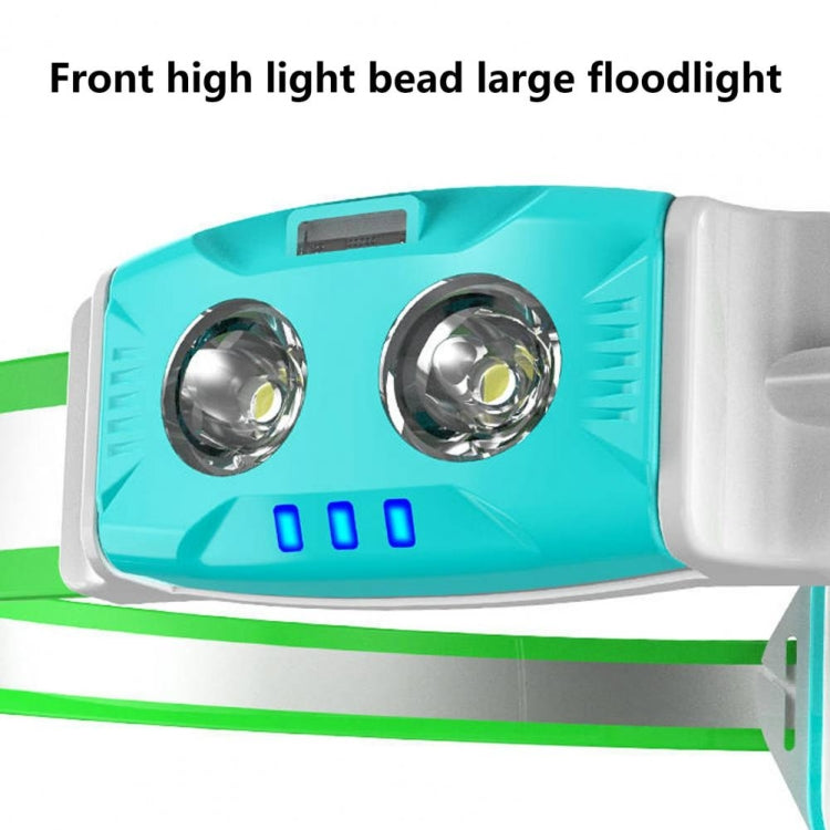 Teal and gray front LED floodlight module with two bright lens bulbs