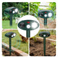 Green solar ultrasonic repellent in garden stake position, shown from multiple angles