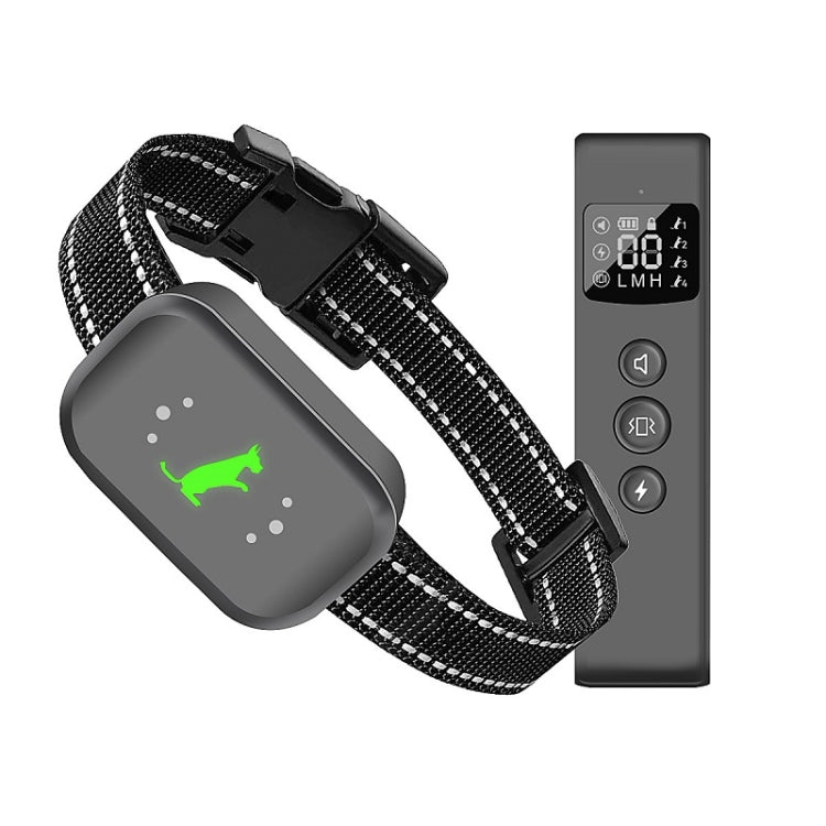 Electric dog training remote and waterproof receiver with black nylon collar strap