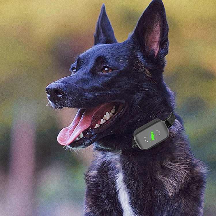Training dog collar with remote receiver, dark adjustable strap and indicator lights