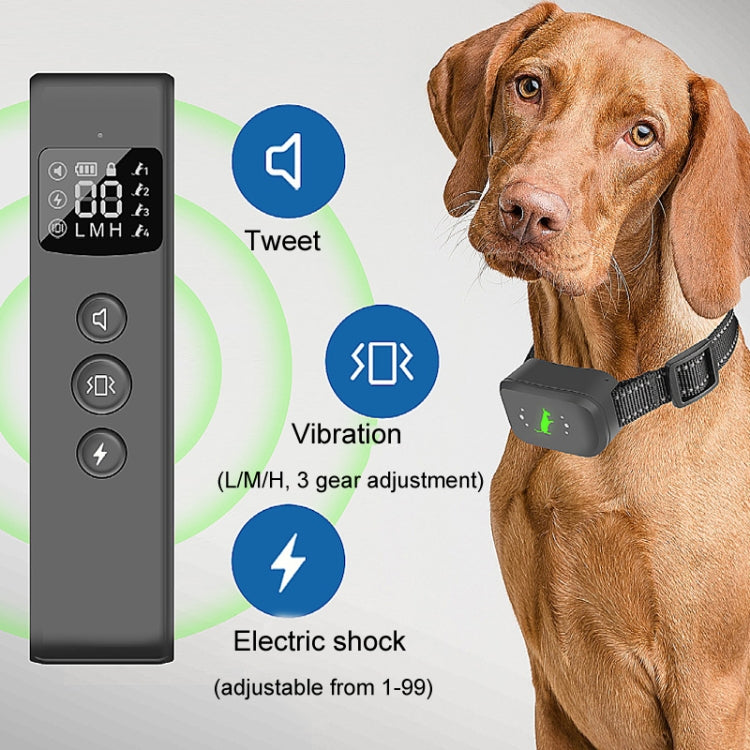 Dog training set on a brown dog: waterproof receiver collar with remote
