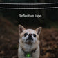Dog wearing a black training collar with reflective tape and green indicator