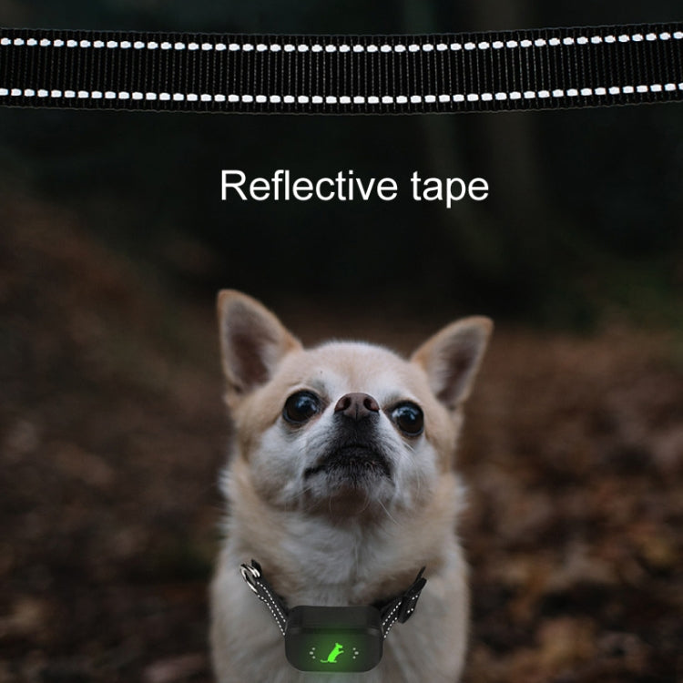 Dog wearing a black training collar with reflective tape and green indicator
