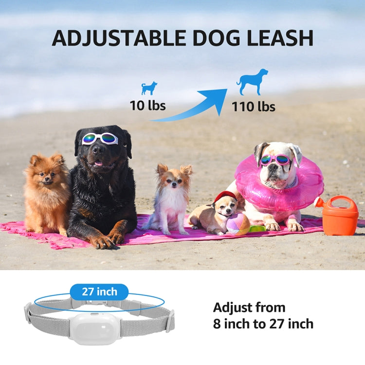 Adjustable dog training collar strap with control module, gray receiver