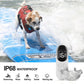 Waterproof shock collar receiver on wet dog with handheld remote controller