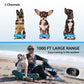 Remote-controlled shock training collar with waterproof receiver and screen for dogs