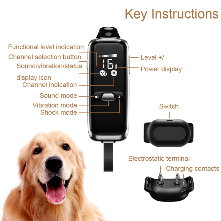 Dog training remote and receiver collar with charging contacts and switch