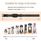 Adjustable dog training collar strap with buckle and length reference