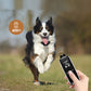 Dog running with dog training remote showing 400m range indicator