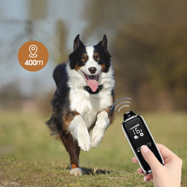 Dog running with dog training remote showing 400m range indicator