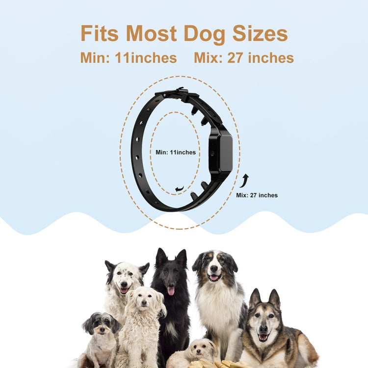 Black training collar receiver with adjustable ring fit shown with dogs