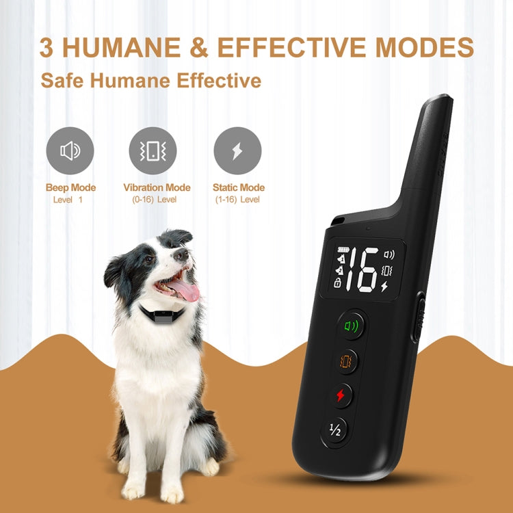 Black dog training remote with display and dog wearing black training collar