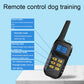 Dog training remote with LCD screen, power button, and mode controls