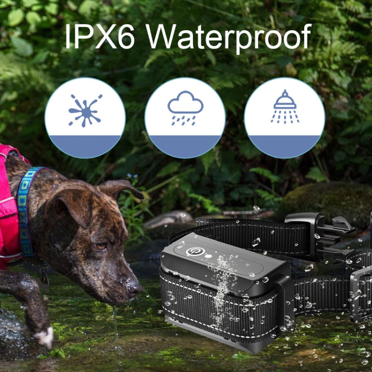Waterproof dog training collar receiver with black nylon strap and splash-resistant housing