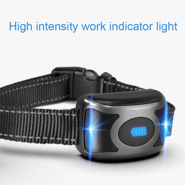 Dog training collar receiver on strap with glowing indicator light, dark gray