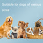 Dogs of various sizes with no training device visible