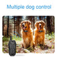 Dual dog training remote control shown with two dogs, dark gray transmitter
