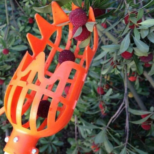 Orange fruit picker basket head with open lattice and prongs