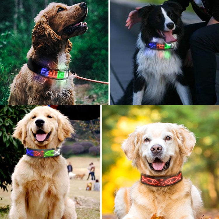 LED pet collars on dogs with glowing light bands in red and green tones