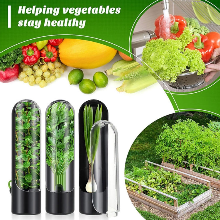 Set of black herb storage containers with clear lids and one open cover