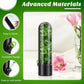 Black herb storage pod with clear cover, shown with greenery inside