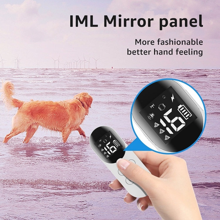 Handheld anti-barking remote controller with screen and mirrored panel shown near dog