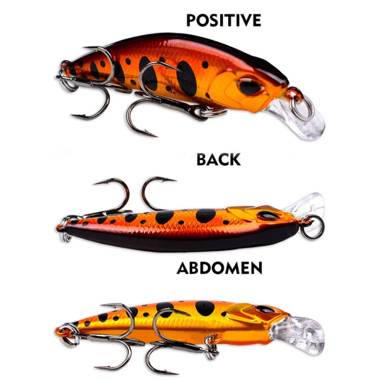Sinking minnow lure set showing top, underside, and belly views with treble hooks