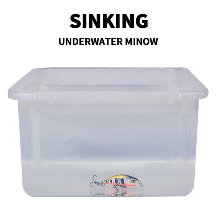 Sinking minnow fishing lure in clear storage box, small multicolor bait