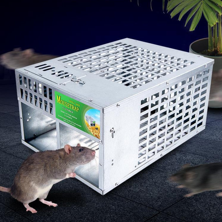 Metal double-door mouse trap cage with a mouse near the open entrance