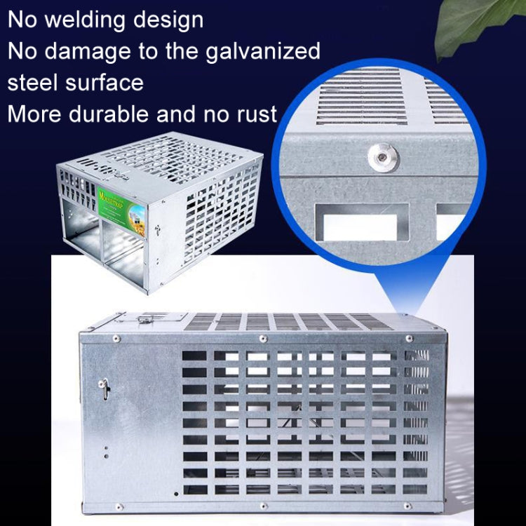 Metal mouse trap cage with reinforced front panel and side access opening
