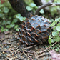 Pinecone-shaped key hiding safe resting on ground among green plants