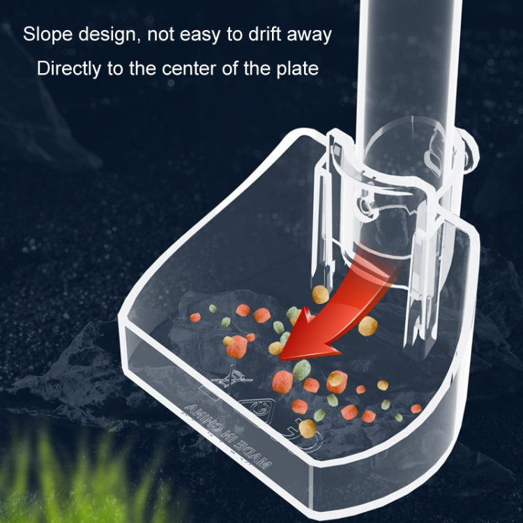 Acrylic fish feeding tube with sloped clear base tray for food delivery