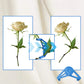 Blue plant training clip with two rose stems attached