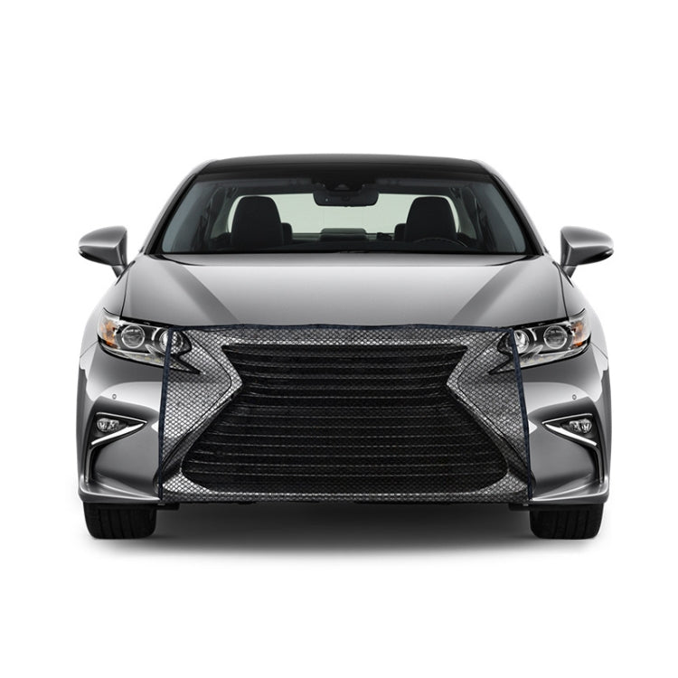 Black car front insect protection net covering the grille opening