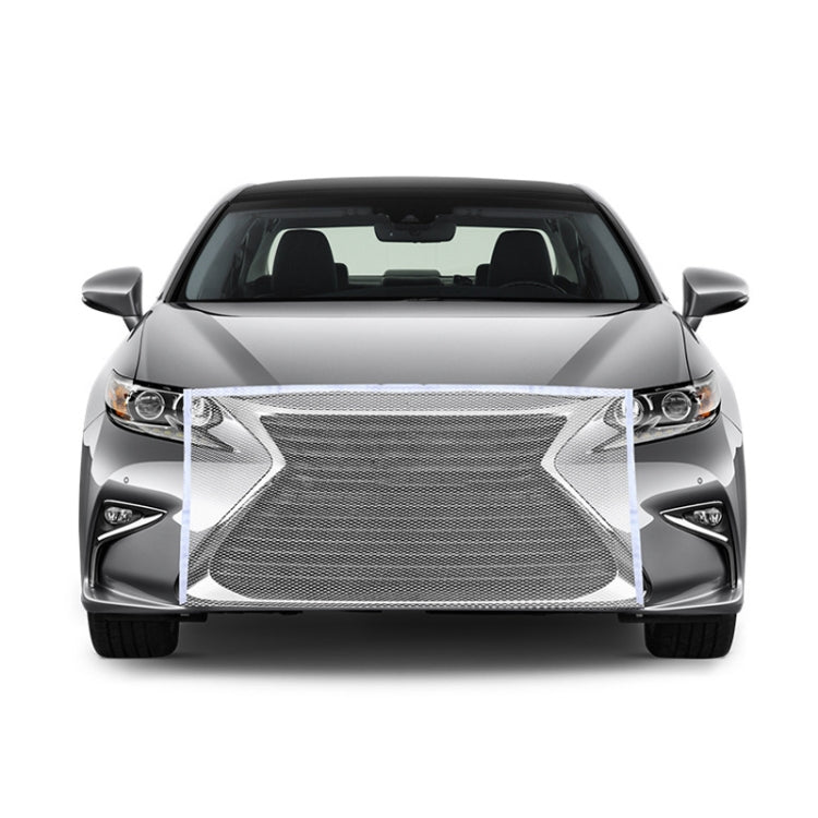 Gray mesh insect protection net covering the front grille opening