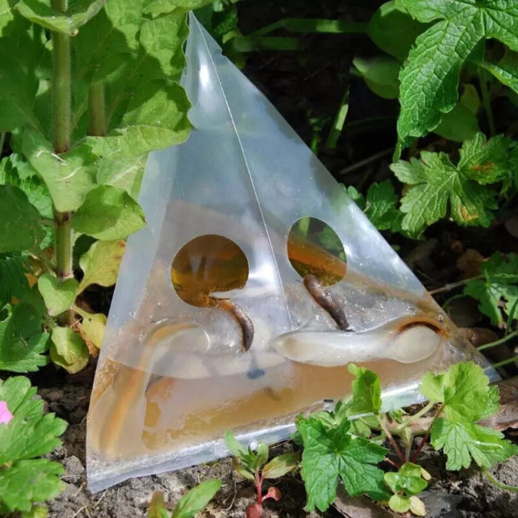 Transparent triangular slug trap bag in garden with green plants