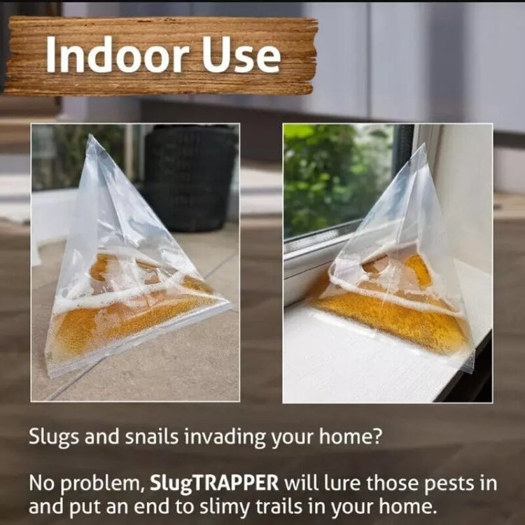 Transparent triangular snail/slug trap bag placed indoors near floor