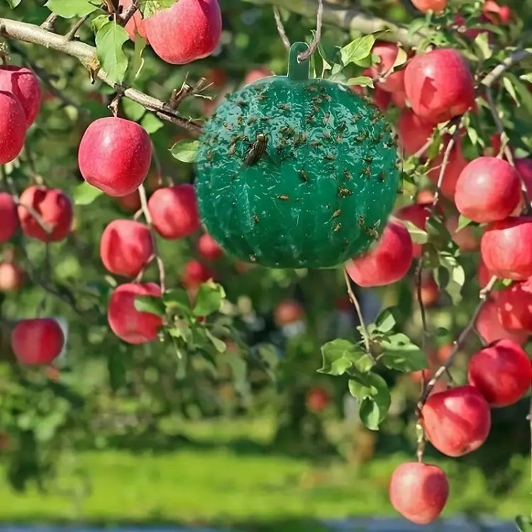 Green sticky trap ball hanging on a tree branch
