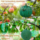 Green sticky trap ball hanging outdoors among leaves, with water droplets